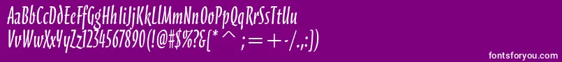 ScarboroughitcTt Font – White Fonts on Purple Background