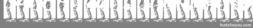 Kinkyv Font – White Fonts on Gray Background