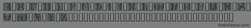 CheshireInitials Font – Black Fonts on Gray Background