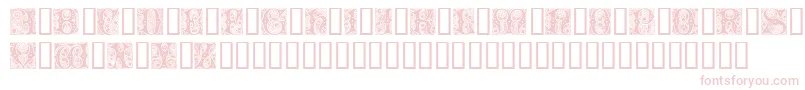 CheshireInitials Font – Pink Fonts on White Background