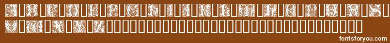 CheshireInitials Font – White Fonts on Brown Background