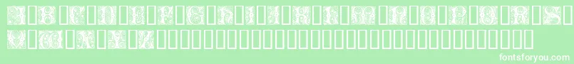 CheshireInitials Font – White Fonts on Green Background