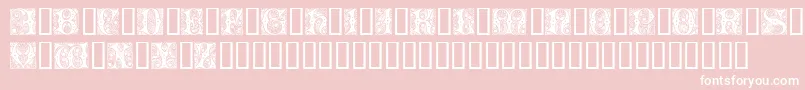 CheshireInitials-Schriftart – Weiße Schriften auf rosa Hintergrund