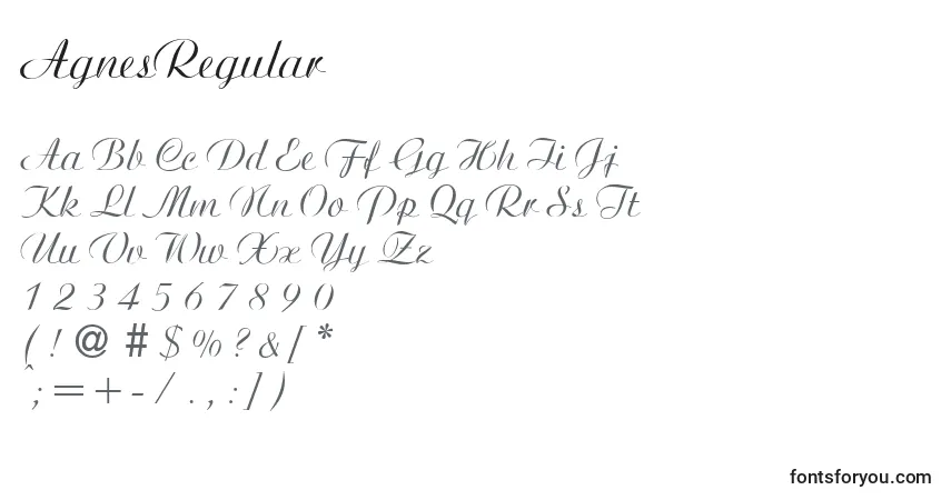 Schriftart AgnesRegular – Alphabet, Zahlen, spezielle Symbole