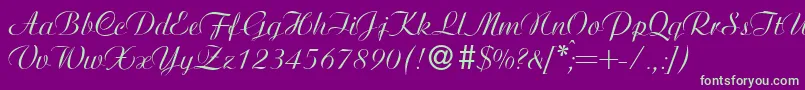 AgnesRegular Font – Green Fonts on Purple Background