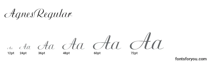AgnesRegular Font Sizes