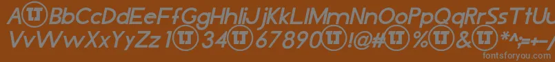 LjDesignStudiosIsBoldItalic Font – Gray Fonts on Brown Background