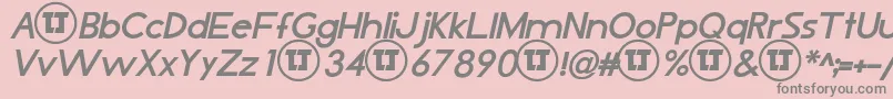 LjDesignStudiosIsBoldItalic Font – Gray Fonts on Pink Background