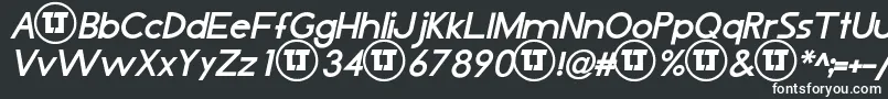 LjDesignStudiosIsBoldItalic Font – White Fonts