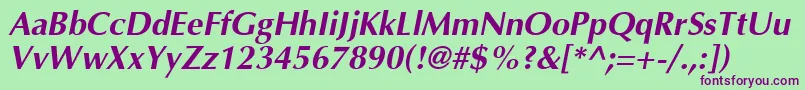 AgoptcyrillicBoldItalic Font – Purple Fonts on Green Background