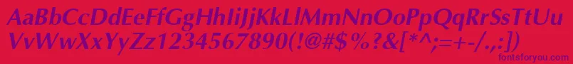 AgoptcyrillicBoldItalic Font – Purple Fonts on Red Background