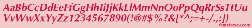 AgoptcyrillicBoldItalic Font – Red Fonts on Pink Background