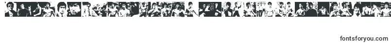 BruceLee-Schriftart – Schriften für Adobe Reader