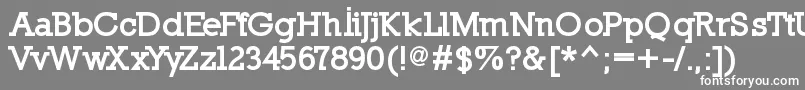 NillandBlack Font – White Fonts on Gray Background