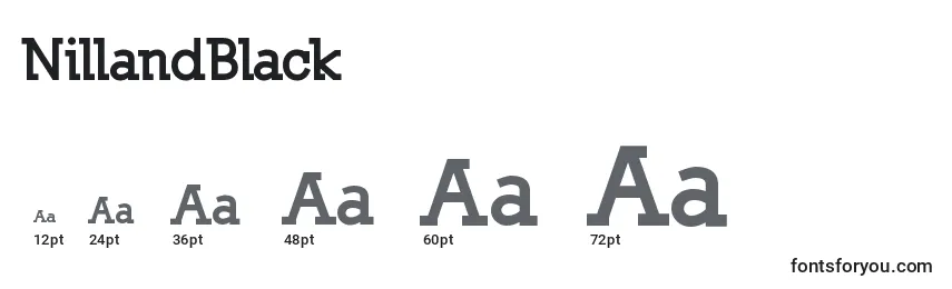 Размеры шрифта NillandBlack