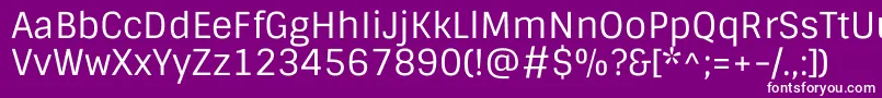SintonyRegular Font – White Fonts on Purple Background