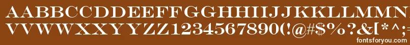 フォントEngr – 茶色の背景に白い文字