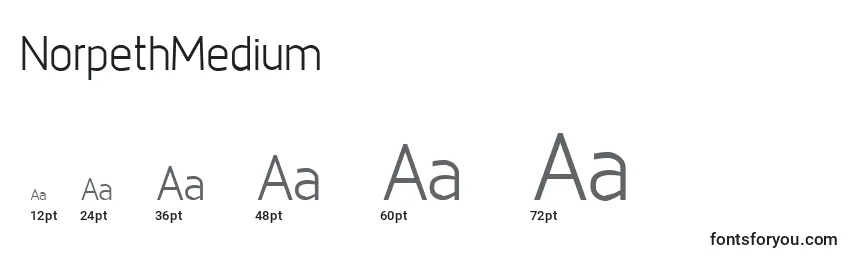 NorpethMedium Font Sizes