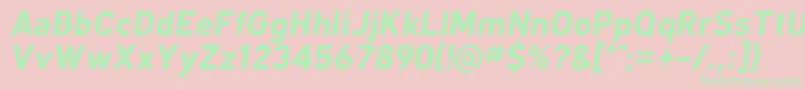 KlimaBoldItalic Font – Green Fonts on Pink Background