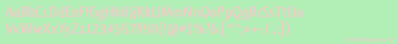 QlassikboldTb Font – Pink Fonts on Green Background