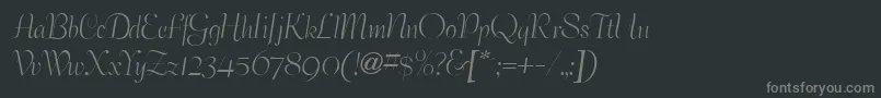 フォントBernhardelegantRegular – 黒い背景に灰色の文字