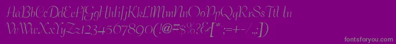 BernhardelegantRegular Font – Gray Fonts on Purple Background