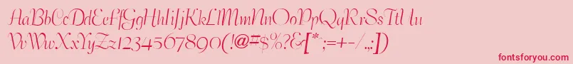 BernhardelegantRegular Font – Red Fonts on Pink Background