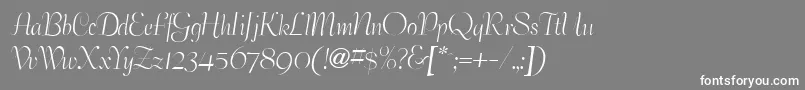 フォントBernhardelegantRegular – 灰色の背景に白い文字