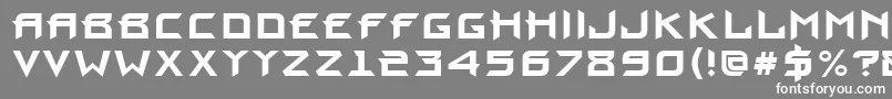 ProuncttBold Font – White Fonts on Gray Background