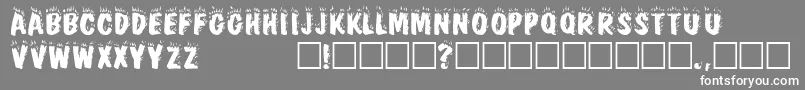 FirebugcapssskRegular Font – White Fonts on Gray Background