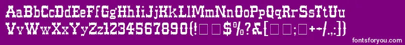 WesternNormal Font – White Fonts on Purple Background