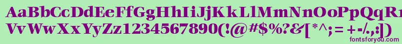 Voraceblackssk Font – Purple Fonts on Green Background