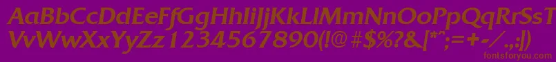 QuadratMediumita Font – Brown Fonts on Purple Background