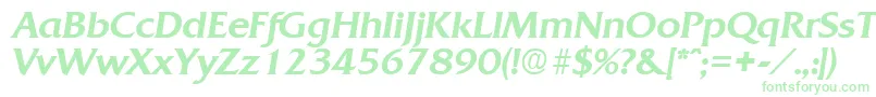 QuadratMediumita Font – Green Fonts