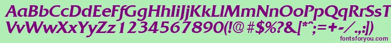 More about QuadratMediumita Font QuadratMediumita Font – Purple Fonts on Green Background