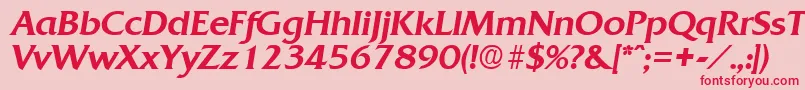 QuadratMediumita Font – Red Fonts on Pink Background