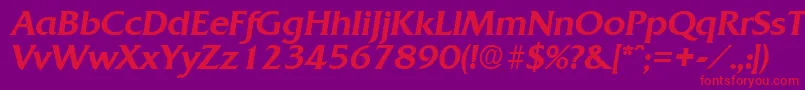 QuadratMediumita Font – Red Fonts on Purple Background