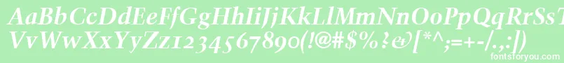 TrumpMediaevalBoldItalicOldStyleFigures Font – White Fonts on Green Background