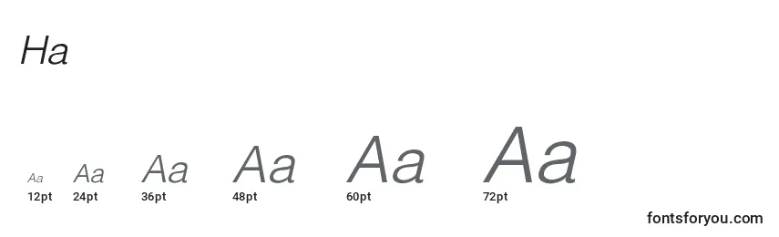 HalvorsonLight Font Sizes