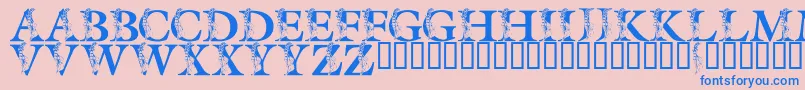 LmsSpringLily Font – Blue Fonts on Pink Background