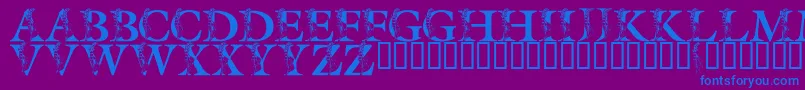 LmsSpringLily Font – Blue Fonts on Purple Background