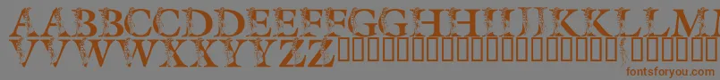 LmsSpringLily Font – Brown Fonts on Gray Background