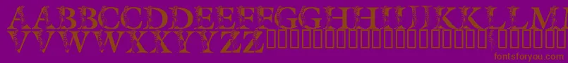 LmsSpringLily Font – Brown Fonts on Purple Background