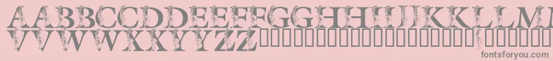 LmsSpringLily Font – Gray Fonts on Pink Background
