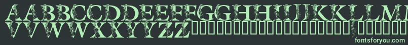 Шрифт LmsSpringLily – зелёные шрифты на чёрном фоне