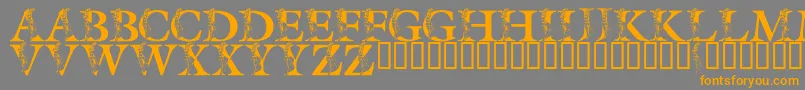 フォントLmsSpringLily – オレンジの文字は灰色の背景にあります。