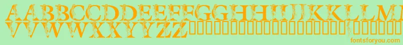 LmsSpringLily Font – Orange Fonts on Green Background