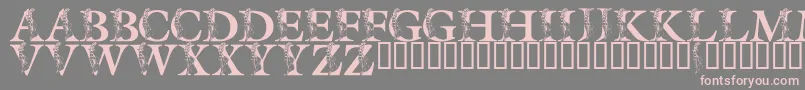 LmsSpringLily-Schriftart – Rosa Schriften auf grauem Hintergrund