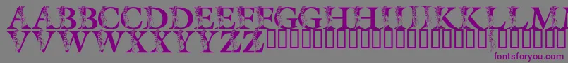 LmsSpringLily-fontti – violetit fontit harmaalla taustalla