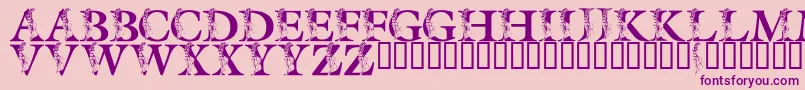 LmsSpringLily Font – Purple Fonts on Pink Background